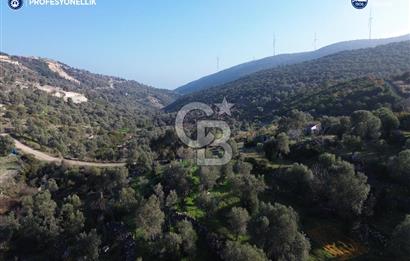 Karaburun Eğlenhoca'da 9.428 m² Satılık Tarla
