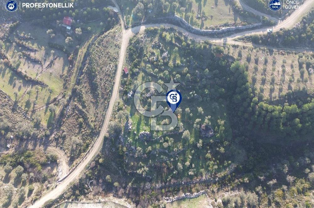 Karaburun Eğlenhoca'da 9.428 m² Satılık Tarla
