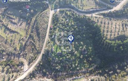 Karaburun Eğlenhoca'da 9.428 m² Satılık Tarla