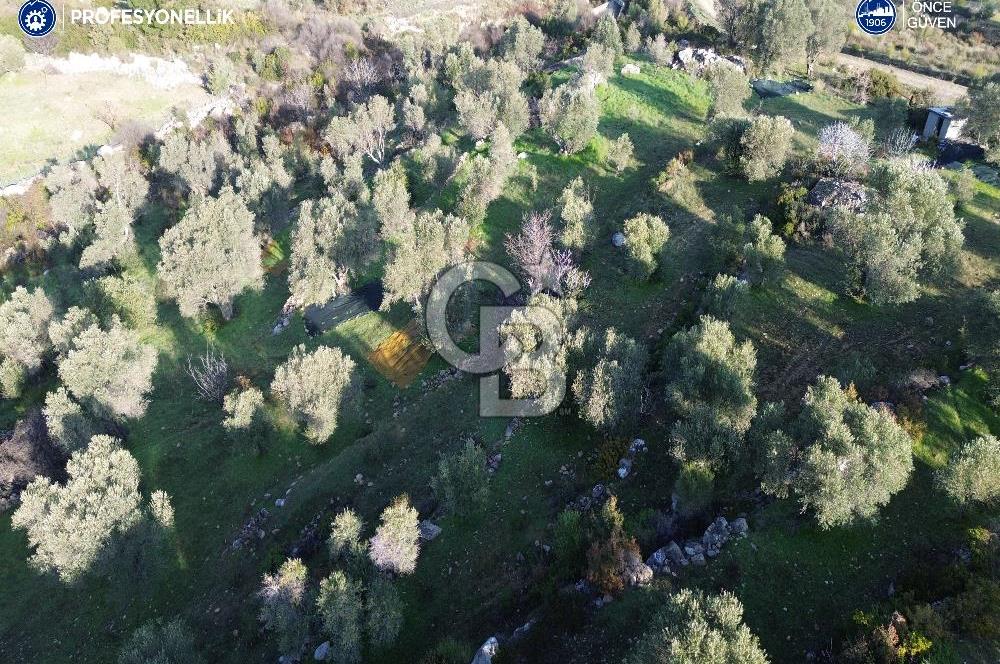 Karaburun Eğlenhoca'da 9.428 m² Satılık Tarla