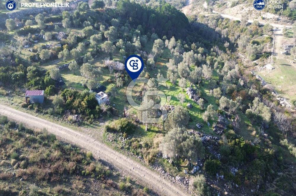 Karaburun Eğlenhoca'da 9.428 m² Satılık Tarla
