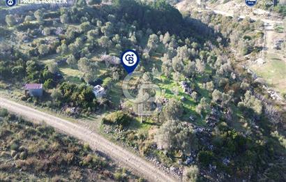 Karaburun Eğlenhoca'da 9.428 m² Satılık Tarla