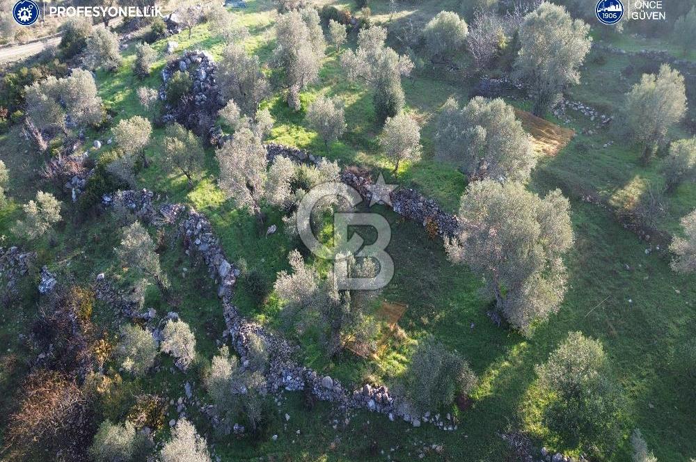 Karaburun Eğlenhoca'da 9.428 m² Satılık Tarla