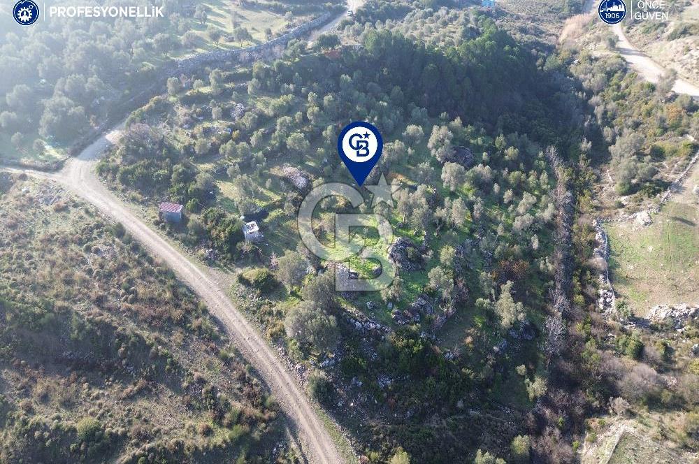 Karaburun Eğlenhoca'da 9.428 m² Satılık Tarla