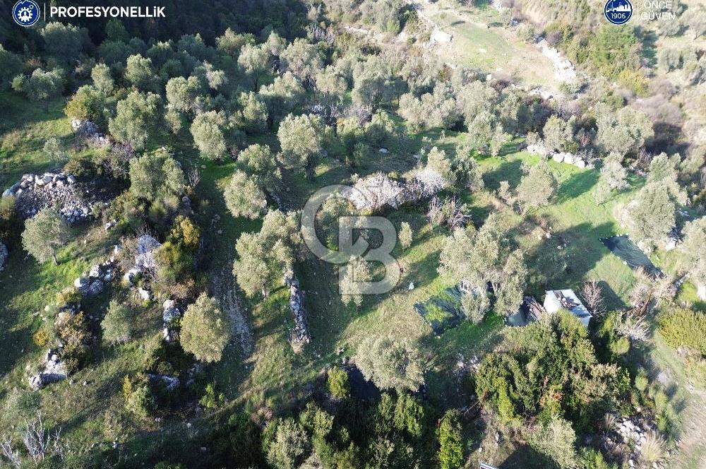 Karaburun Eğlenhoca'da 9.428 m² Satılık Tarla