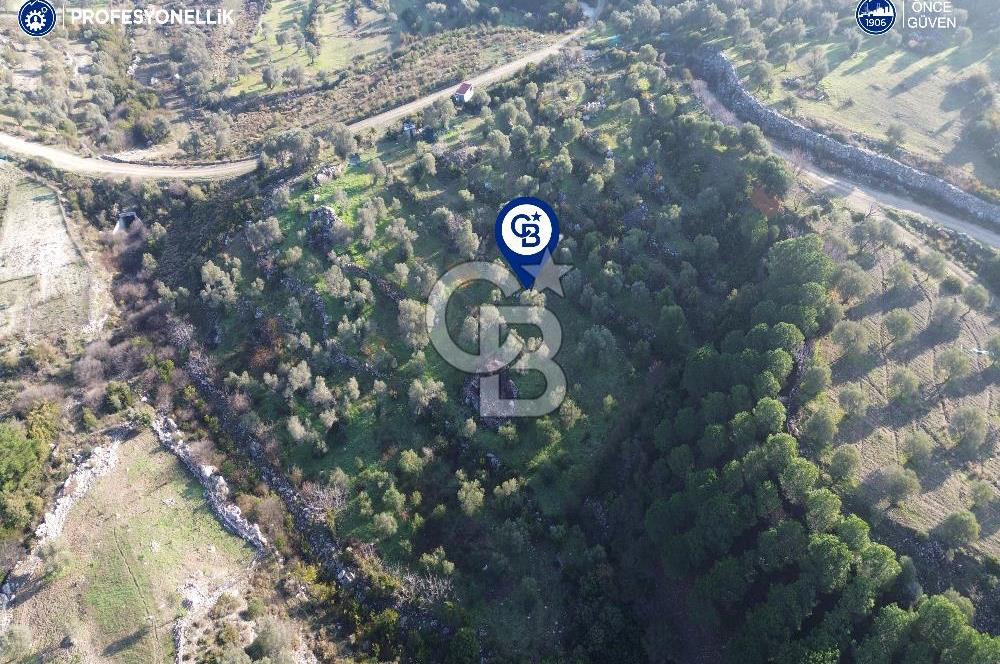 Karaburun Eğlenhoca'da 9.428 m² Satılık Tarla