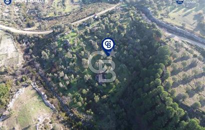 Karaburun Eğlenhoca'da 9.428 m² Satılık Tarla