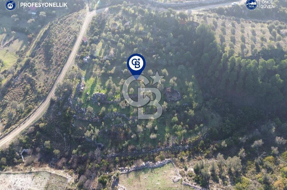 Karaburun Eğlenhoca'da 9.428 m² Satılık Tarla