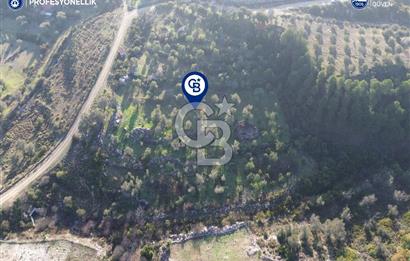 Karaburun Eğlenhoca'da 9.428 m² Satılık Tarla
