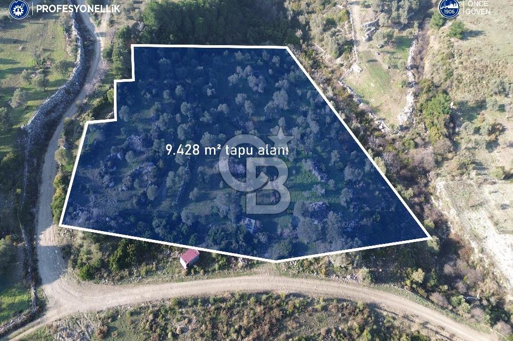 Karaburun Eğlenhoca'da 9.428 m² Satılık Tarla