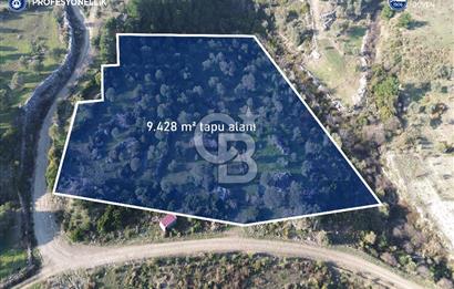 Karaburun Eğlenhoca'da 9.428 m² Satılık Tarla