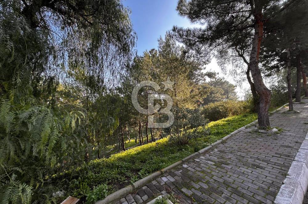 İZMİR BORNOVA MTK SİTESİNDE SATILIK 400M2 4 KATLI ATÖLYE