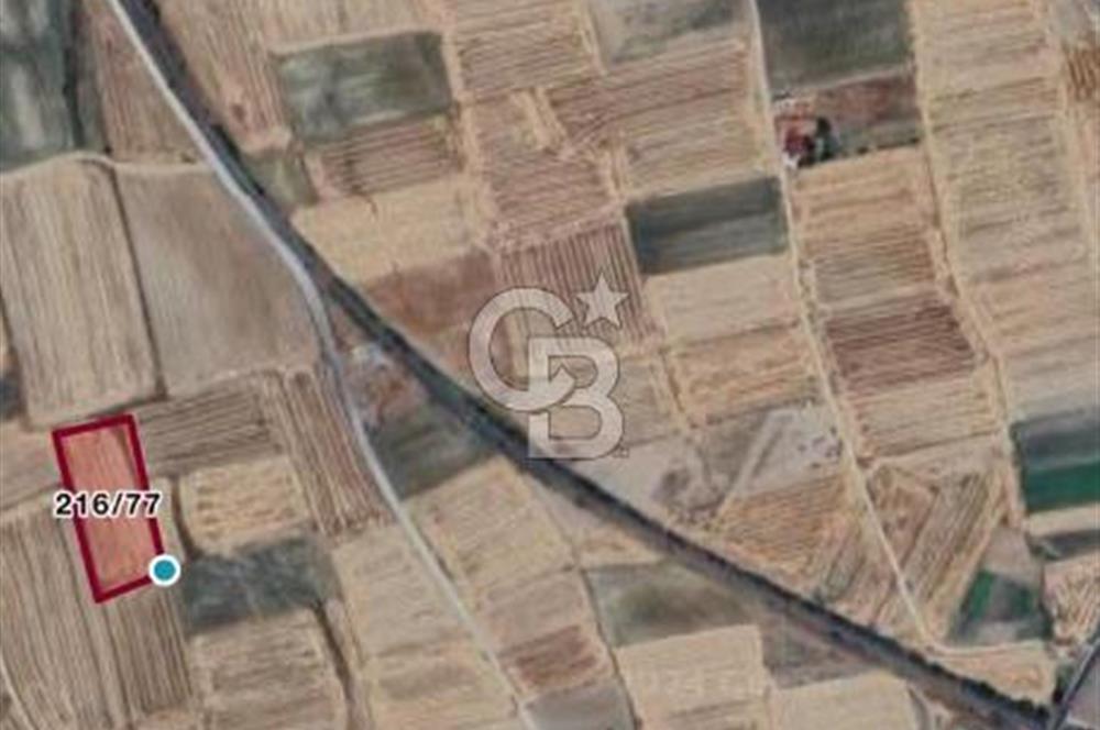 Edirne Tayakadın’da Mirastan 5528m2 Tek Tapu Satılık Tarla