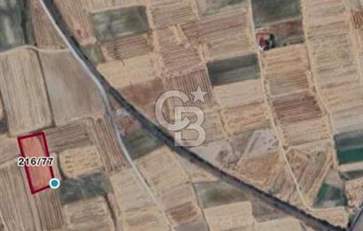 Edirne Tayakadın’da Mirastan 5528m2 Tek Tapu Satılık Tarla
