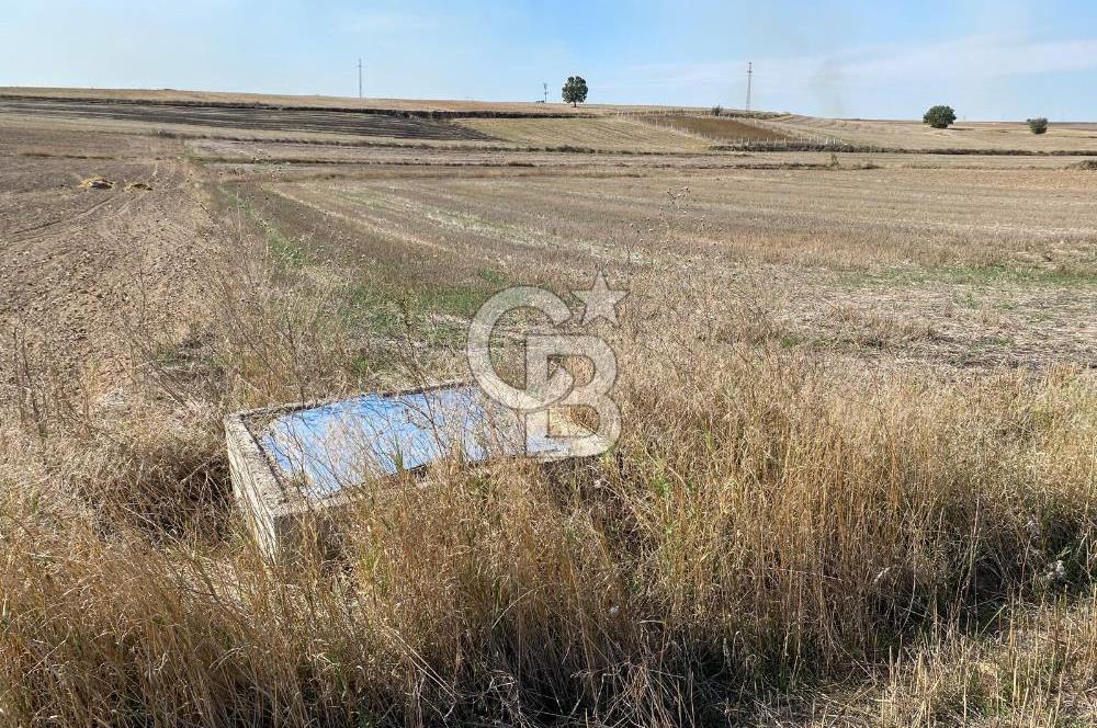 Edirne Tayakadın’da Mirastan 5528m2 Tek Tapu Satılık Tarla