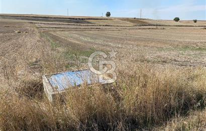 Edirne Tayakadın’da Mirastan 5528m2 Tek Tapu Satılık Tarla