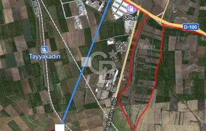 Edirne Tayakadın’da Mirastan 5528m2 Tek Tapu Satılık Tarla