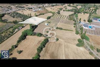 Uzunhasanlar'da 3360 m2 Satılık Tarla (Tek Tapu veya 3 Hisse)