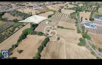 Uzunhasanlar'da 3360 m2 Satılık Tarla (Tek Tapu veya 3 Hisse)
