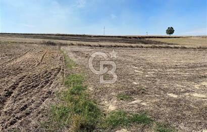 Edirne Tayakadın’da Mirastan 5528m2 Tek Tapu Satılık Tarla