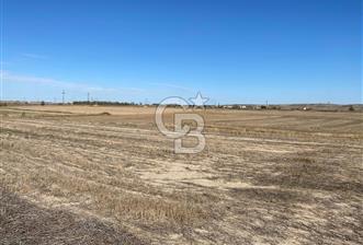 Edirne Tayakadın’da Mirastan 5528m2 Tek Tapu Satılık Tarla