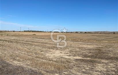 Edirne Tayakadın’da Mirastan 5528m2 Tek Tapu Satılık Tarla