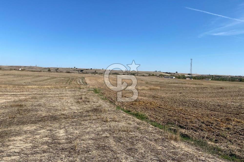 Edirne Tayakadın’da Mirastan 5528m2 Tek Tapu Satılık Tarla