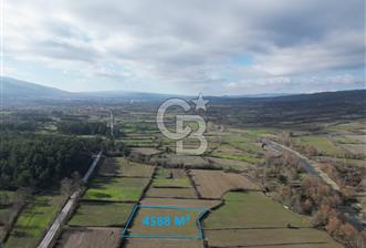 Çanakkale Yenice Seyvan'da Ana Yola Yakın Satılık 4588 M² Tarla