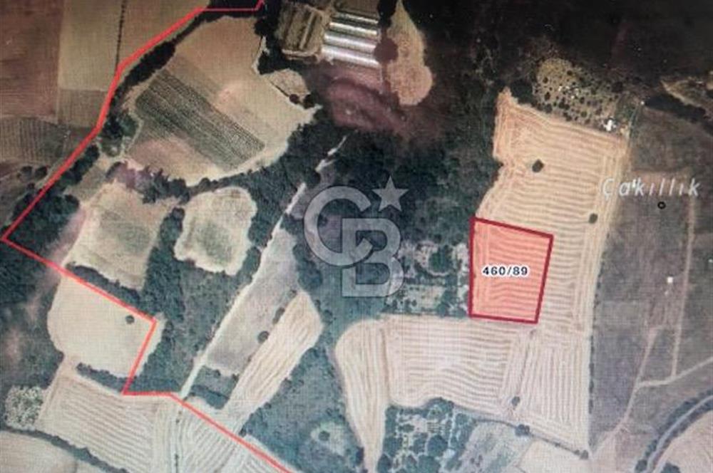 TEKİRDAĞ MERKEZE ÇOK YAKIN KONUT İMARLI 3.759 M2 SATILIK ARSA