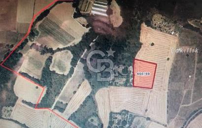 TEKİRDAĞ MERKEZE ÇOK YAKIN KONUT İMARLI 3.759 M2 SATILIK ARSA