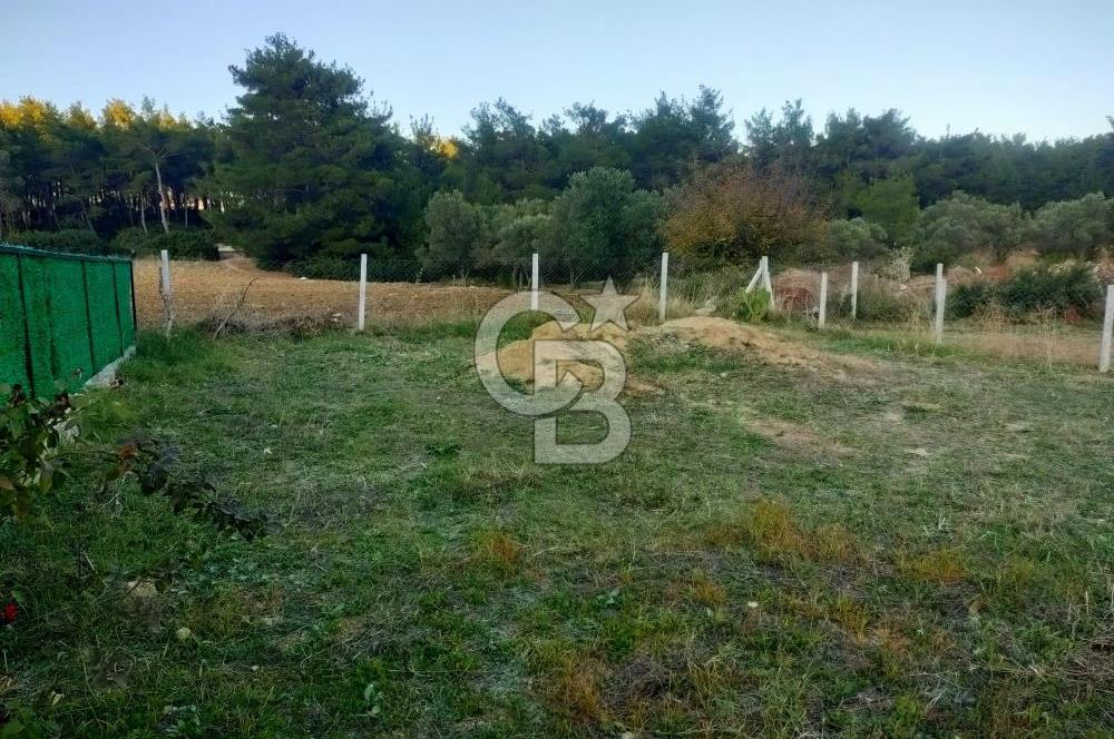Menderes Deliömerlide Kooperatif Hisseli Arsa
