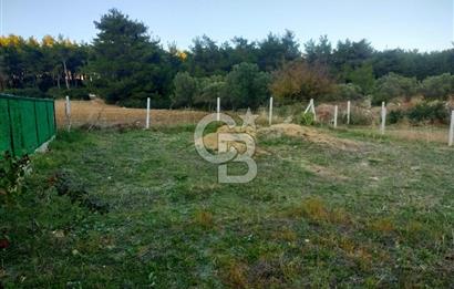 Menderes Deliömerlide Kooperatif Hisseli Arsa