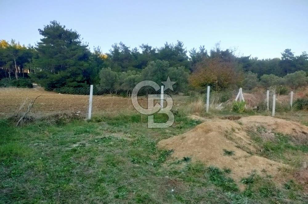Menderes Deliömerlide Kooperatif Hisseli Arsa