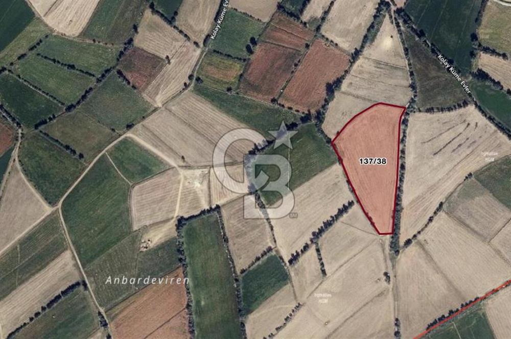 Amasya Suluova'da 13700 m2 Tarla
