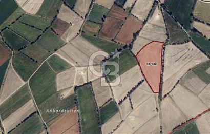 Amasya Suluova'da 13700 m2 Tarla
