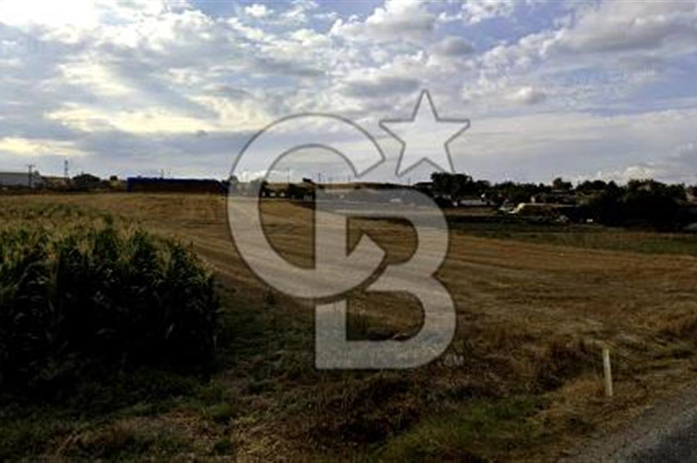 Kırklareli Babaeski'de 2 Ev Yapılabilir İmarlı Arsa