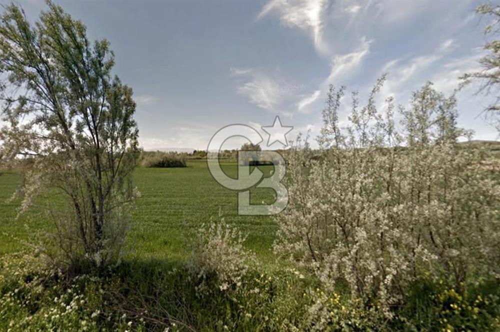Amasya Suluova'da 13700 m2 Tarla
