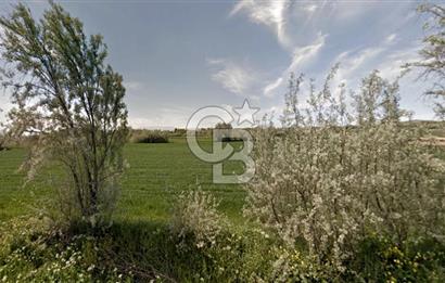 Amasya Suluova'da 13700 m2 Tarla