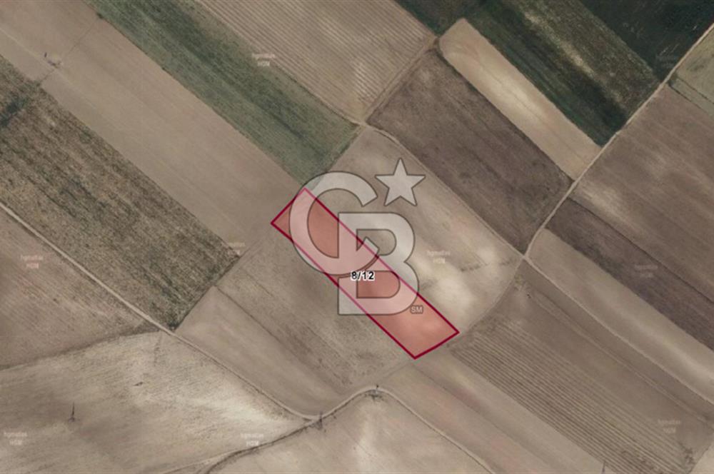 CB AMBİANCE'DAN ESKİŞEHİR ÇİFTELER'DE SATILIK TARLA