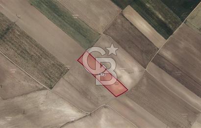 CB AMBİANCE'DAN ESKİŞEHİR ÇİFTELER'DE SATILIK TARLA