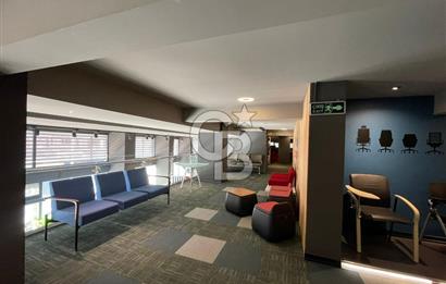 YATIRIMLIK 2500 M2 LÜX DÜKKAN