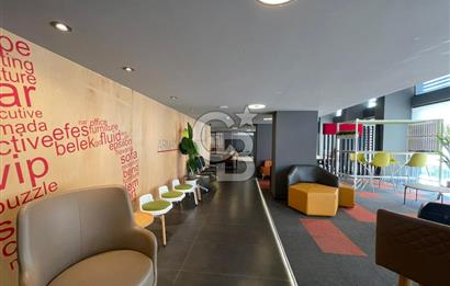 YATIRIMLIK 2500 M2 LÜX DÜKKAN