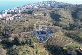 ÜNYE GÖLEVİ MAHALLESİ 8628M2 SATILIK BAHÇE