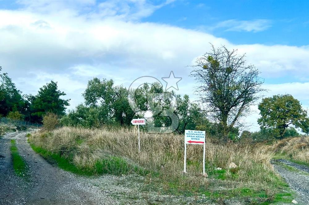 Dikili Çandarlı El Ele Koop. Yatırıma Uygun 281m2 Satılık Arsa