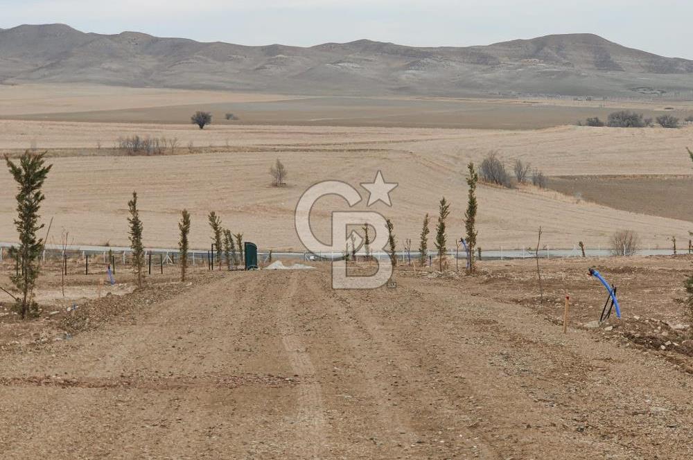 ALT YAPI VE ÇEVRE DÜZENLEMESİ YAPILMIŞ 500 m2 HOBİ BAHÇESİ