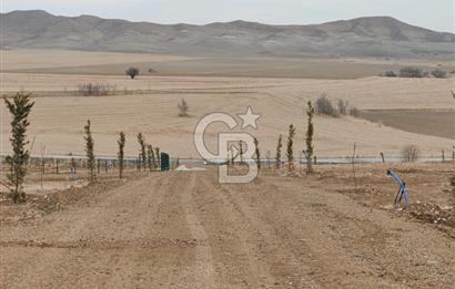 ALT YAPI VE ÇEVRE DÜZENLEMESİ YAPILMIŞ 500 m2 HOBİ BAHÇESİ