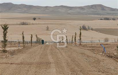 ALT YAPI VE ÇEVRE DÜZENLEMESİ YAPILMIŞ 500 m2 HOBİ BAHÇESİ