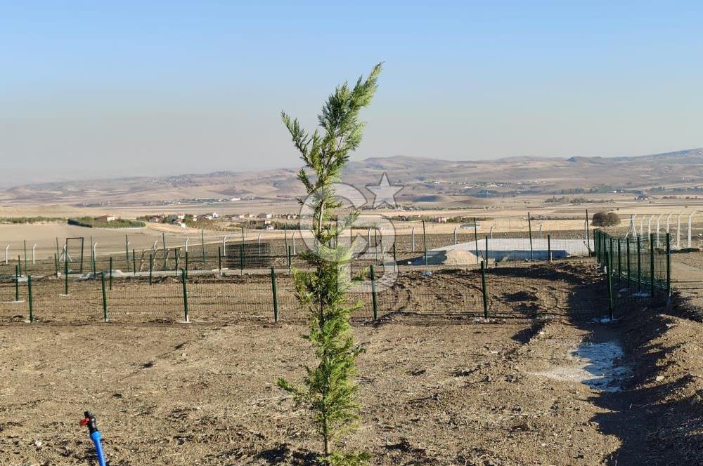 ALT YAPI VE ÇEVRE DÜZENLEMESİ YAPILMIŞ 500 m2 HOBİ BAHÇESİ