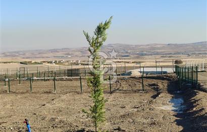 ALT YAPI VE ÇEVRE DÜZENLEMESİ YAPILMIŞ 500 m2 HOBİ BAHÇESİ
