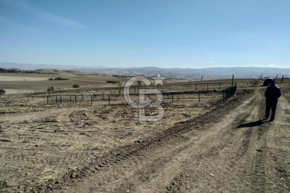 ALT YAPI VE ÇEVRE DÜZENLEMESİ YAPILMIŞ 500 m2 HOBİ BAHÇESİ